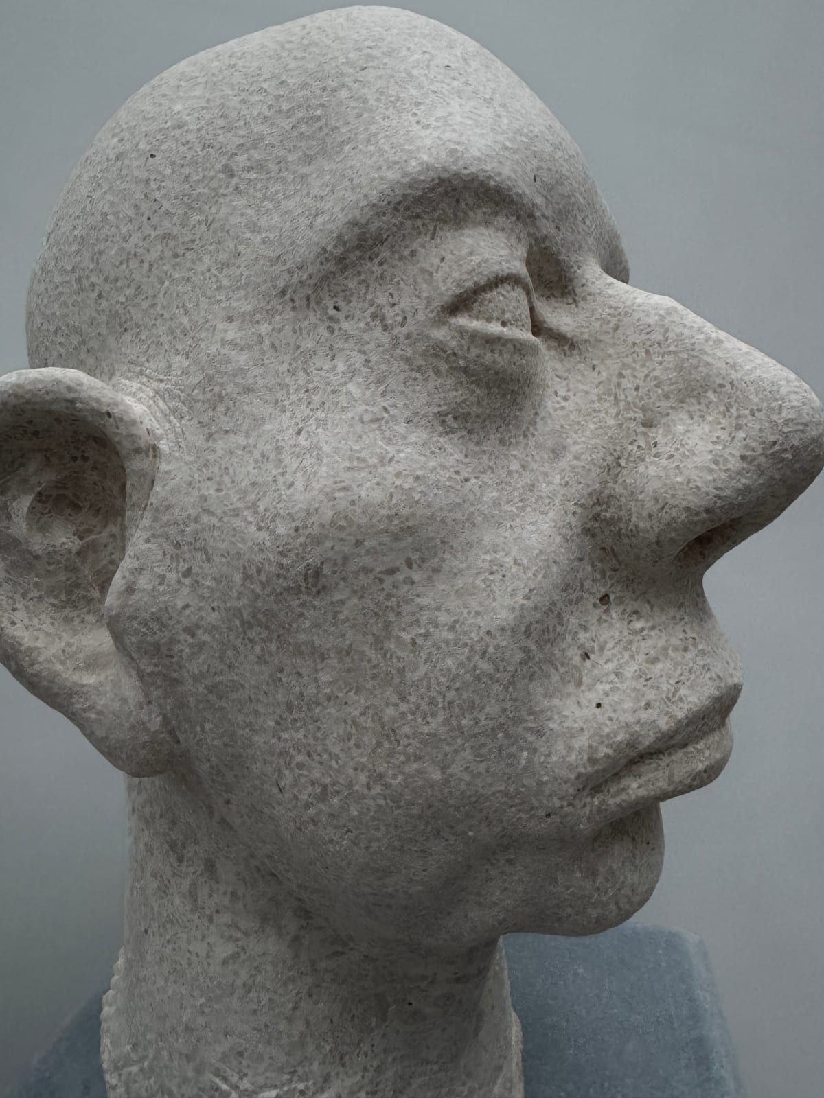 Michael Quane RHA, Nabresina Head Study, 2023/24