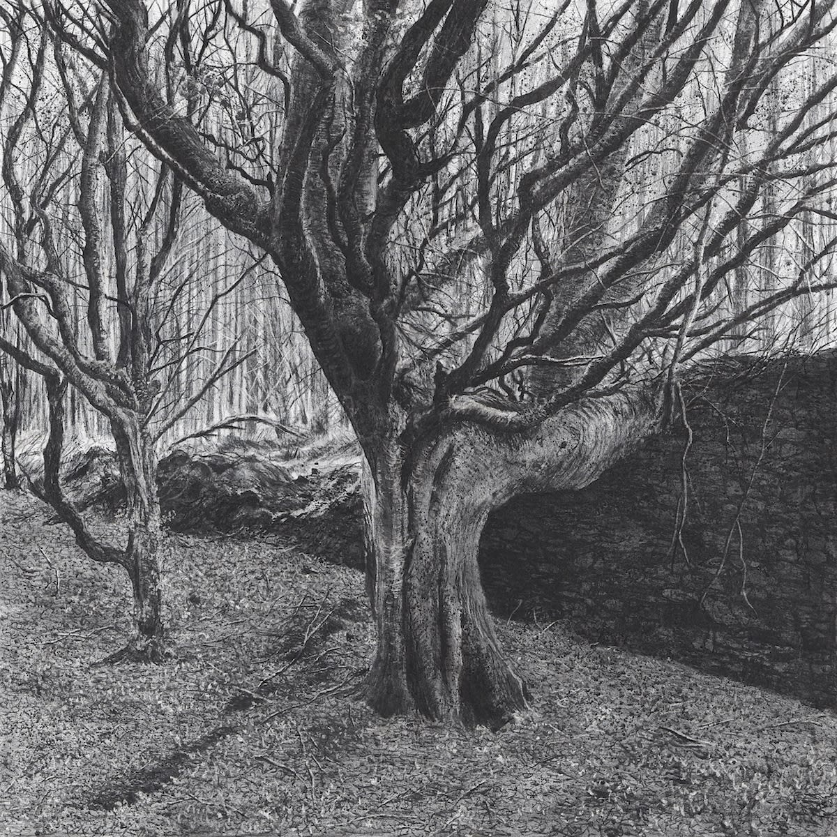 Michael Wann, Silent Orchard, 2022