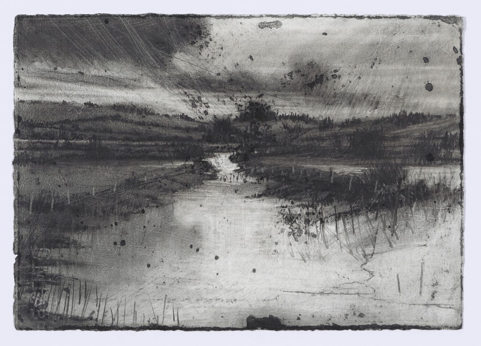 Michael Wann, Mongrel Weather, 2019