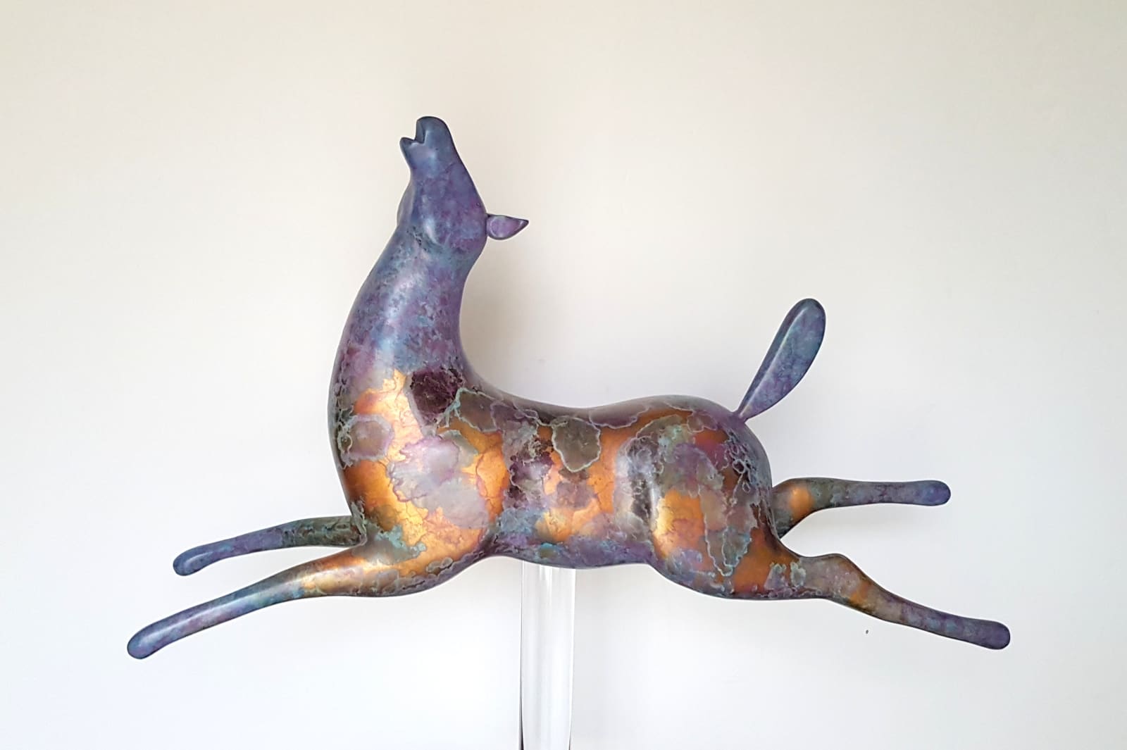 Stephanie Hess, Unbridled Joy