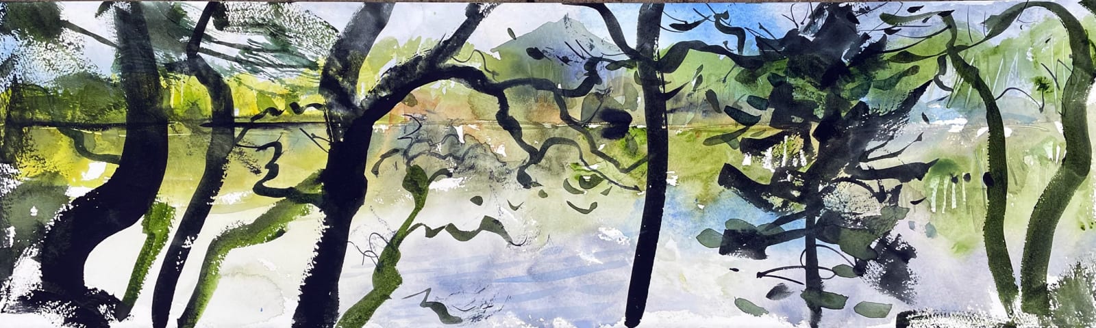 John Short, Inlet 1, Derreen Gardens, County Kerry