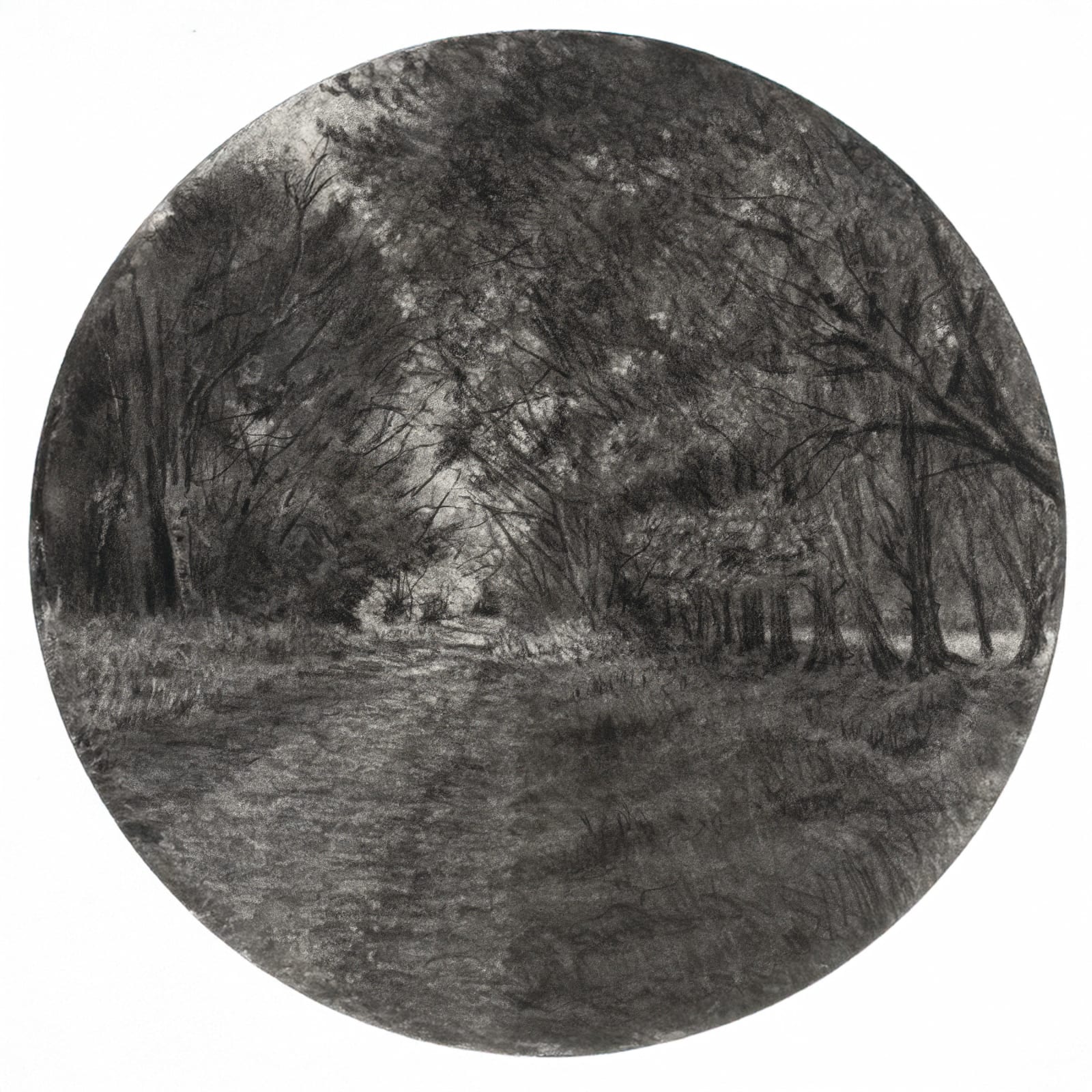 Michael Wann, Shadow Avenue 6, 2025