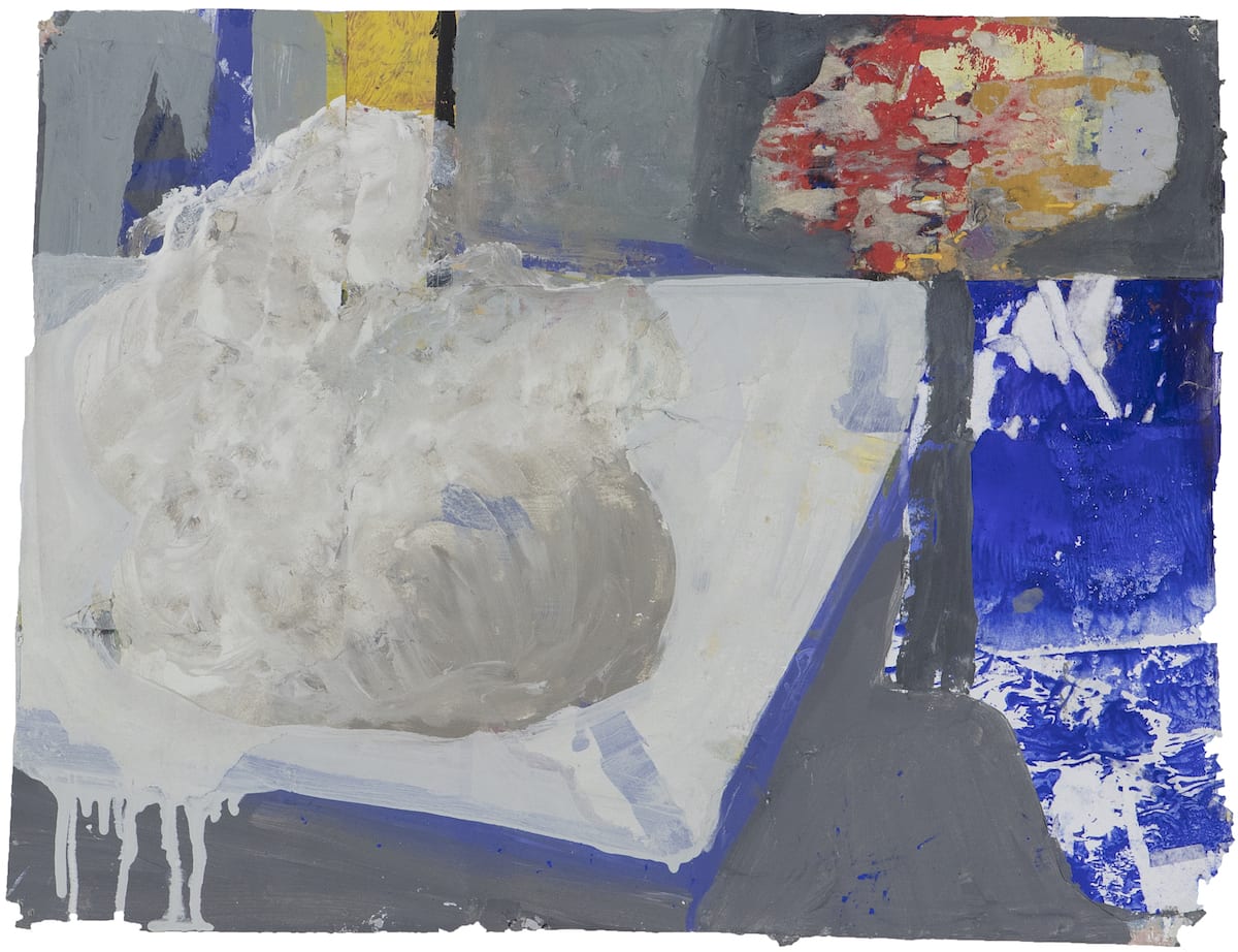 Eamon Colman, The sodden nest of a cold-eyed Thrush