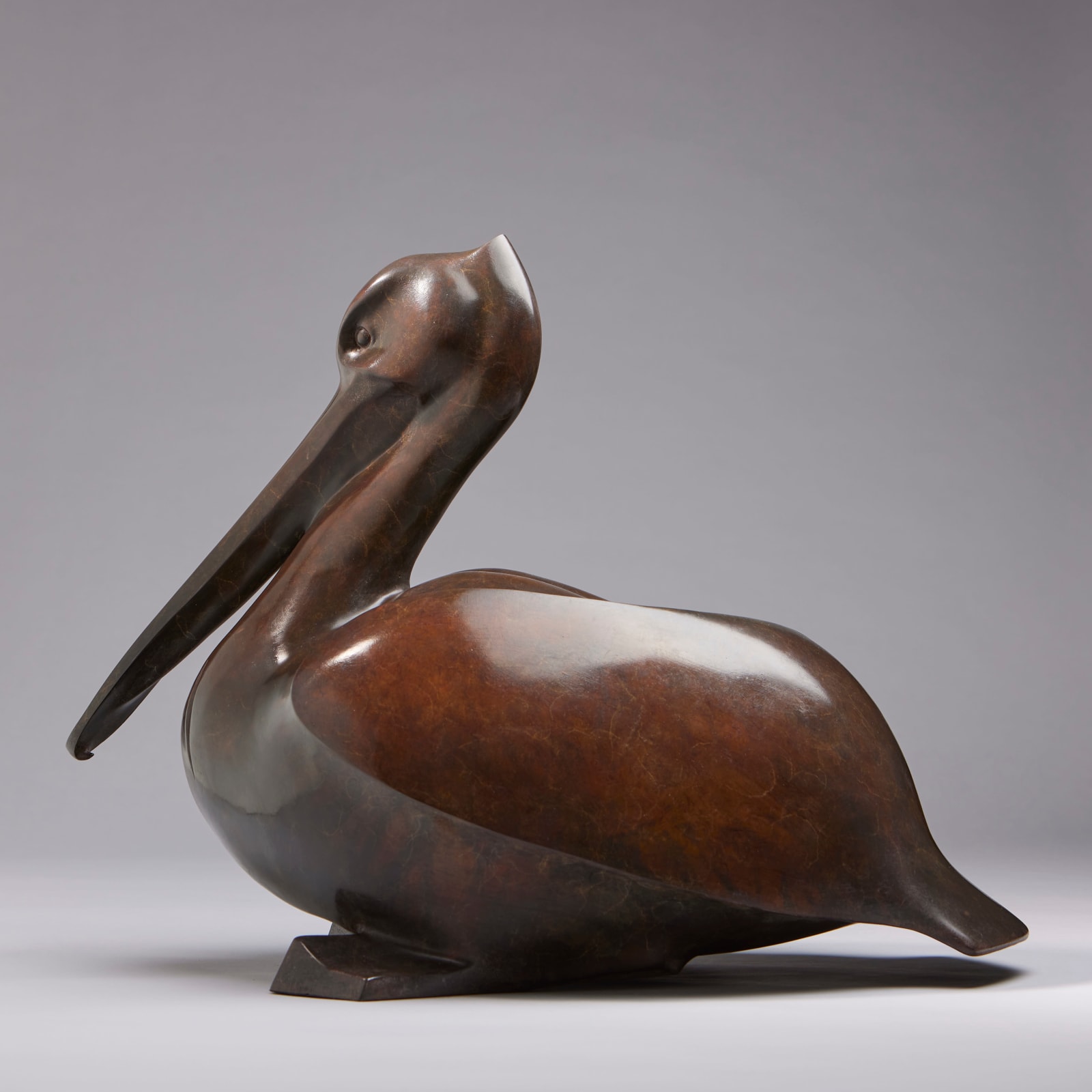 Peter Killeen, Pelican