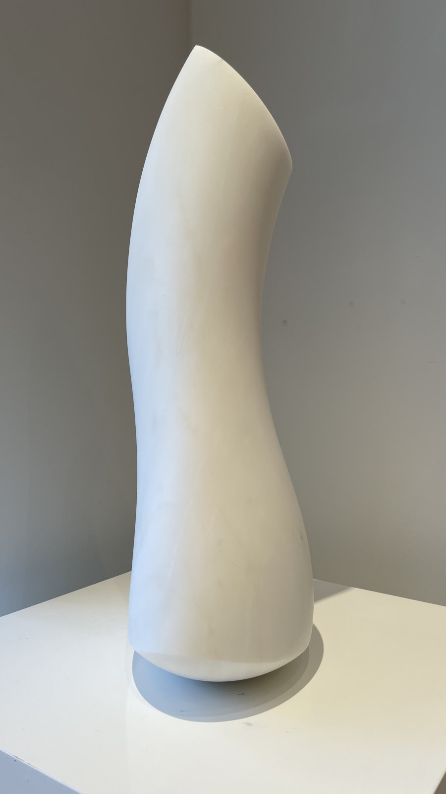 Eilis O'Connell RHA, Thornmorph