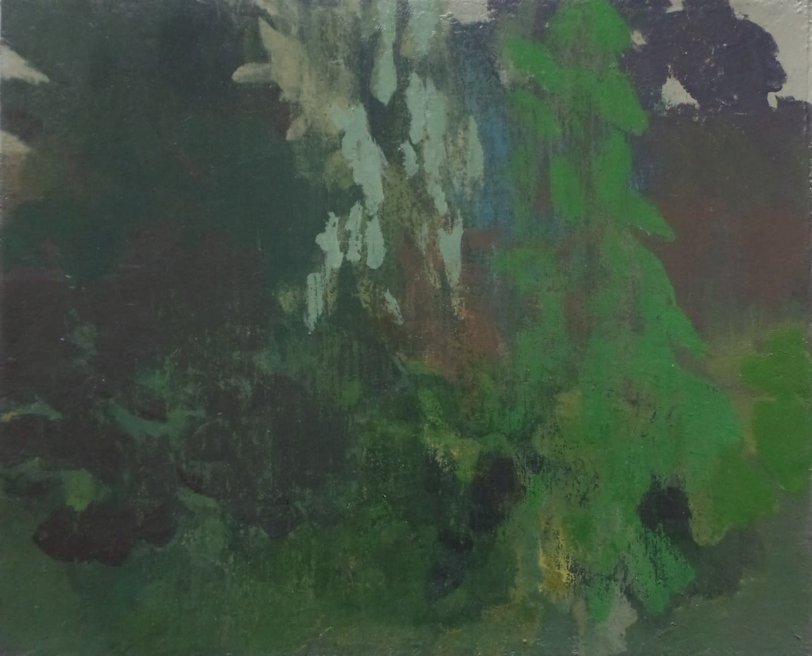 Clifford Collie, The Imagined Garden VII