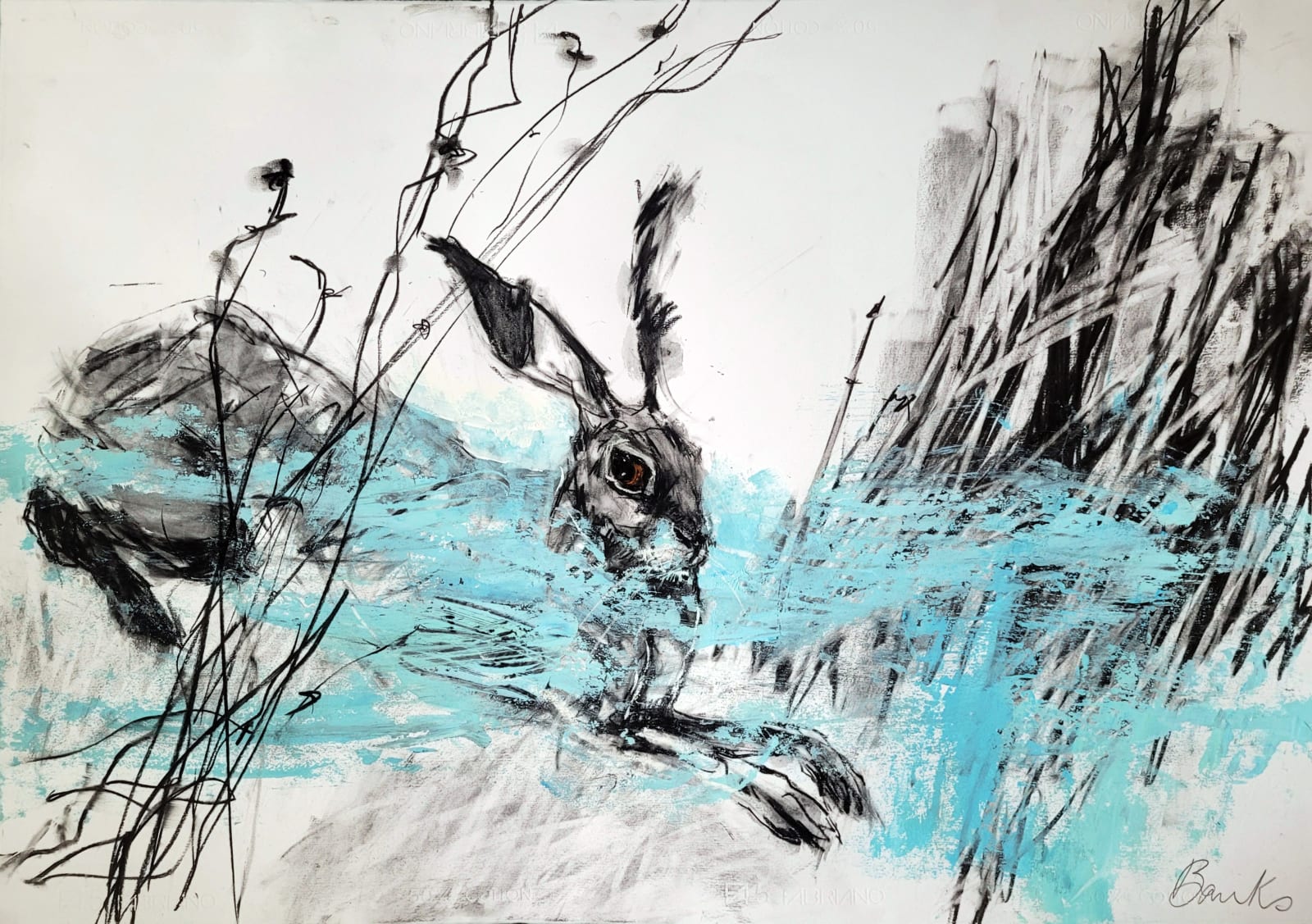 Margo Banks, Hare at Ease