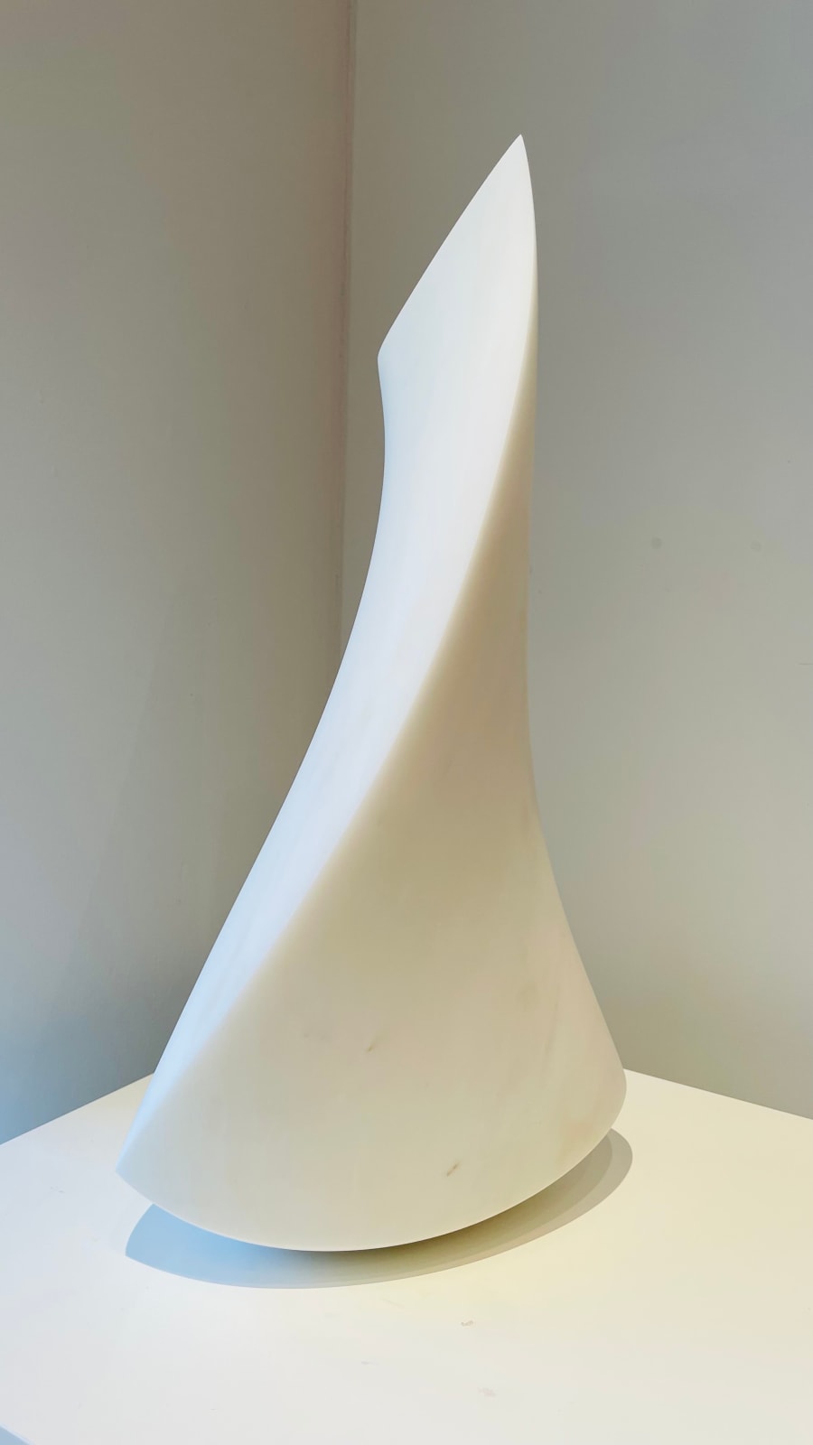 Eilis O'Connell RHA, Thornmorph