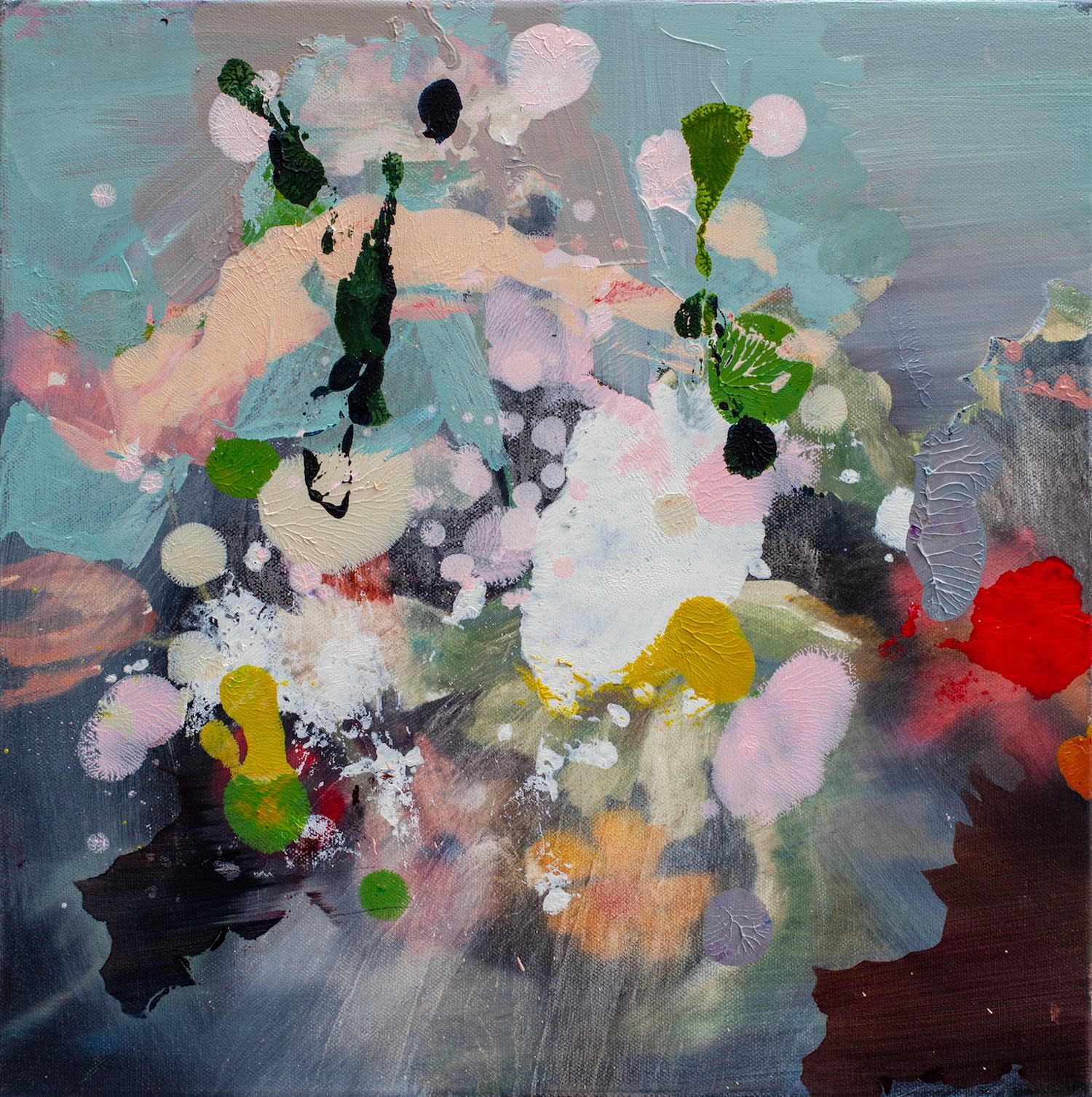 Melissa O'Donnell, Botany 1, 2023