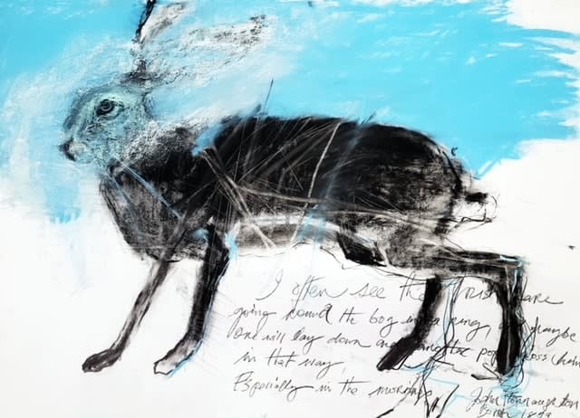 Margo Banks, The Irish Hare