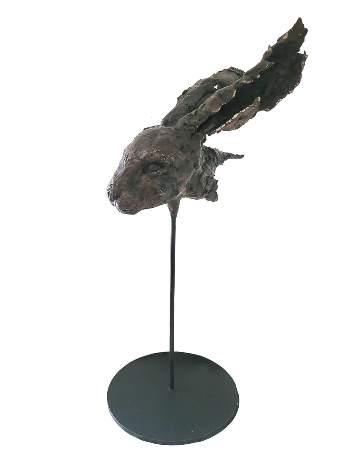 Margo Banks, The Mystery of the Hare