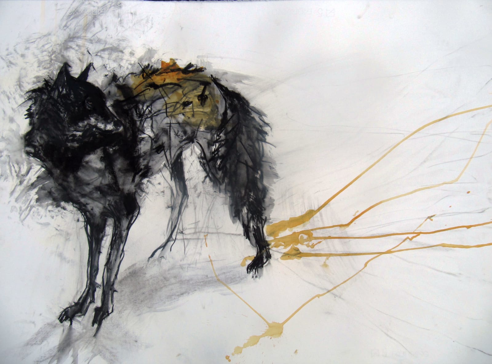 Margo Banks, Keep Your Heart Open to Everything