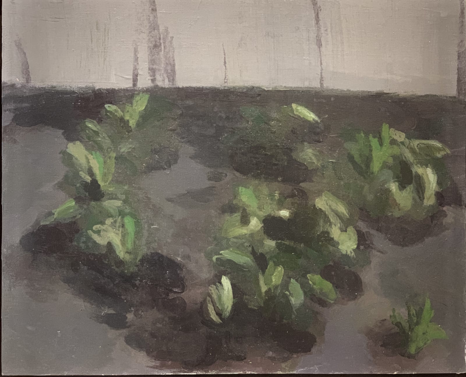 Clifford Collie, The Imagined Garden XIV