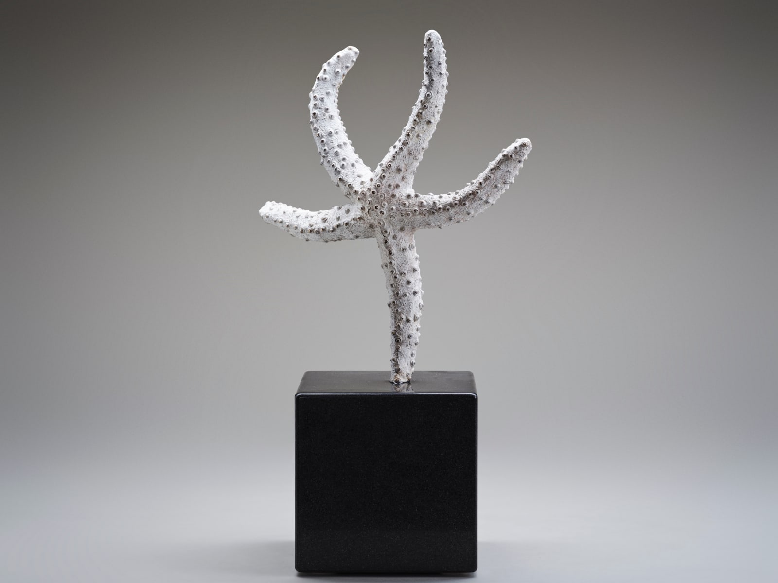 Rachel Joynt RHA, Turn IV