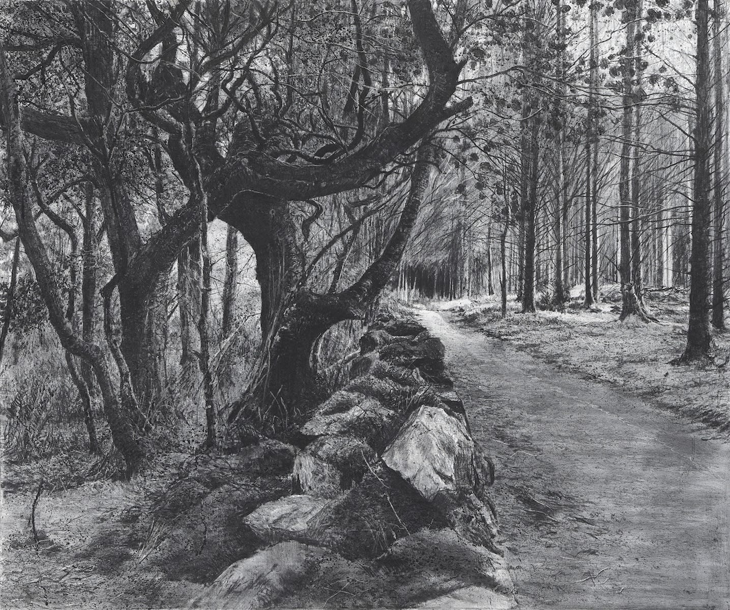 Michael Wann, Shadow Bearing, 2022