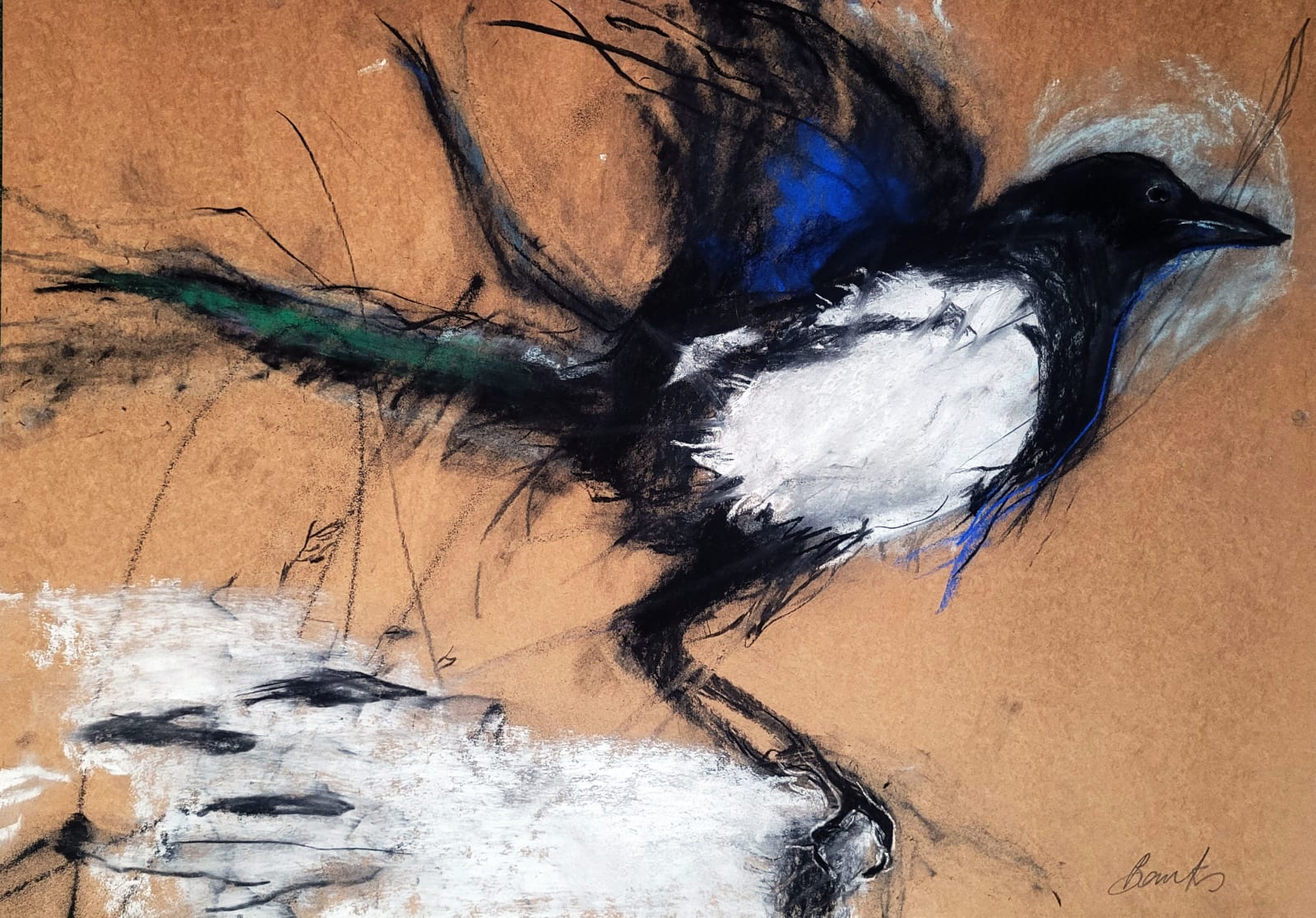 Margo Banks, My Magpie, 2023