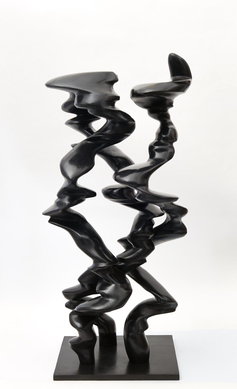 Tony Cragg, Points of View, 2019