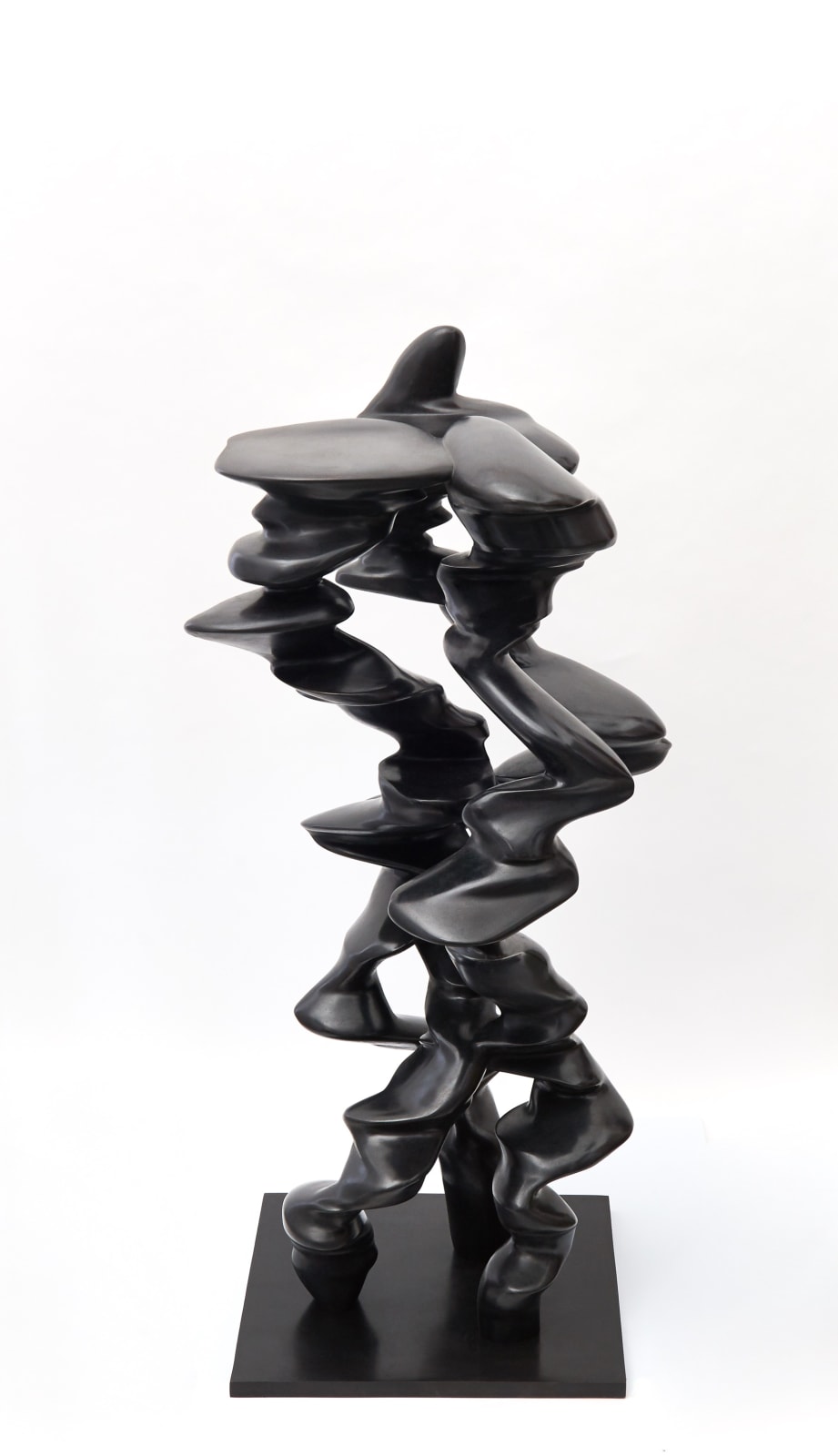 Tony Cragg, Points of View, 2019