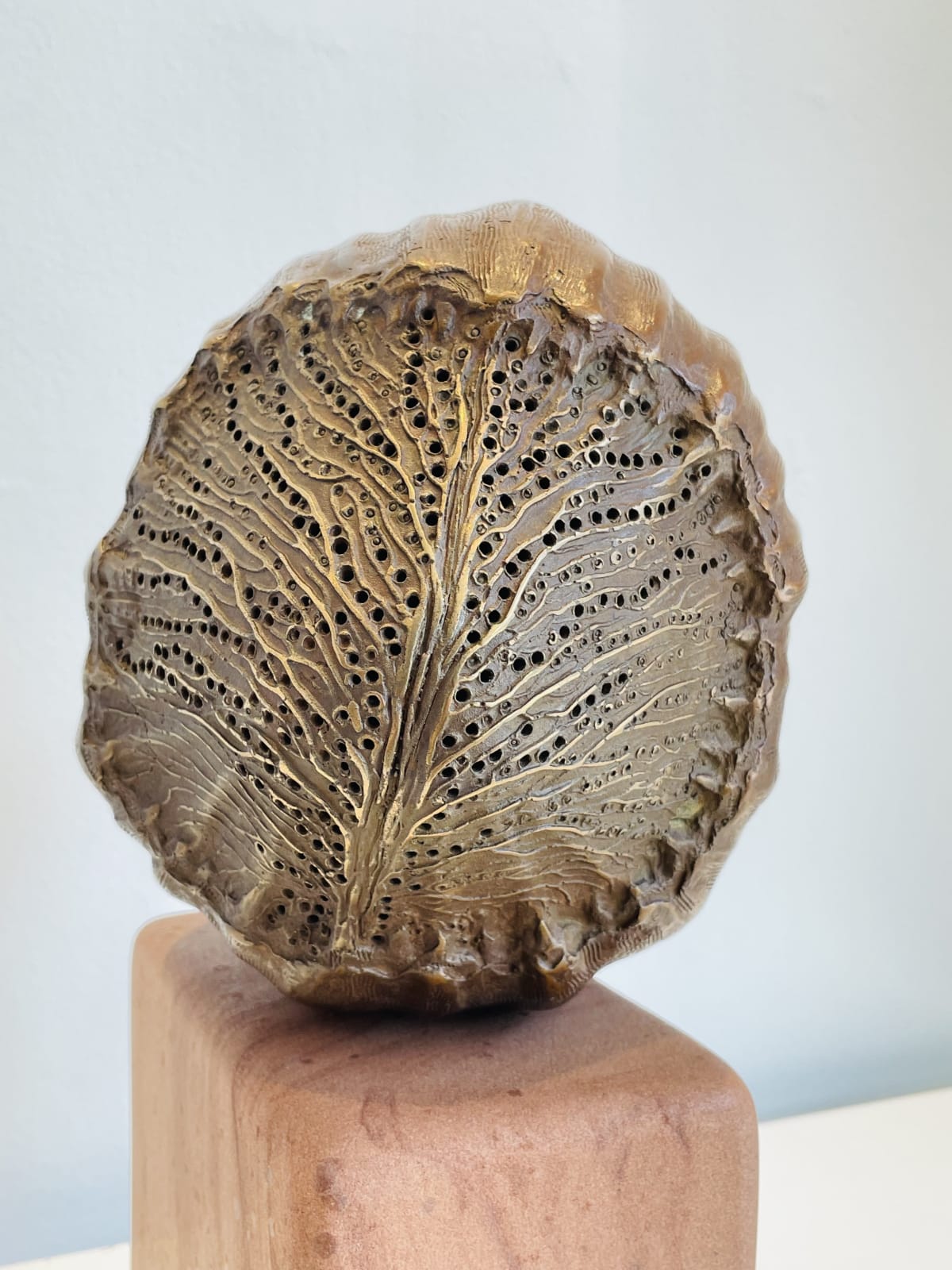 Rachel Joynt RHA, Pulse (low base)