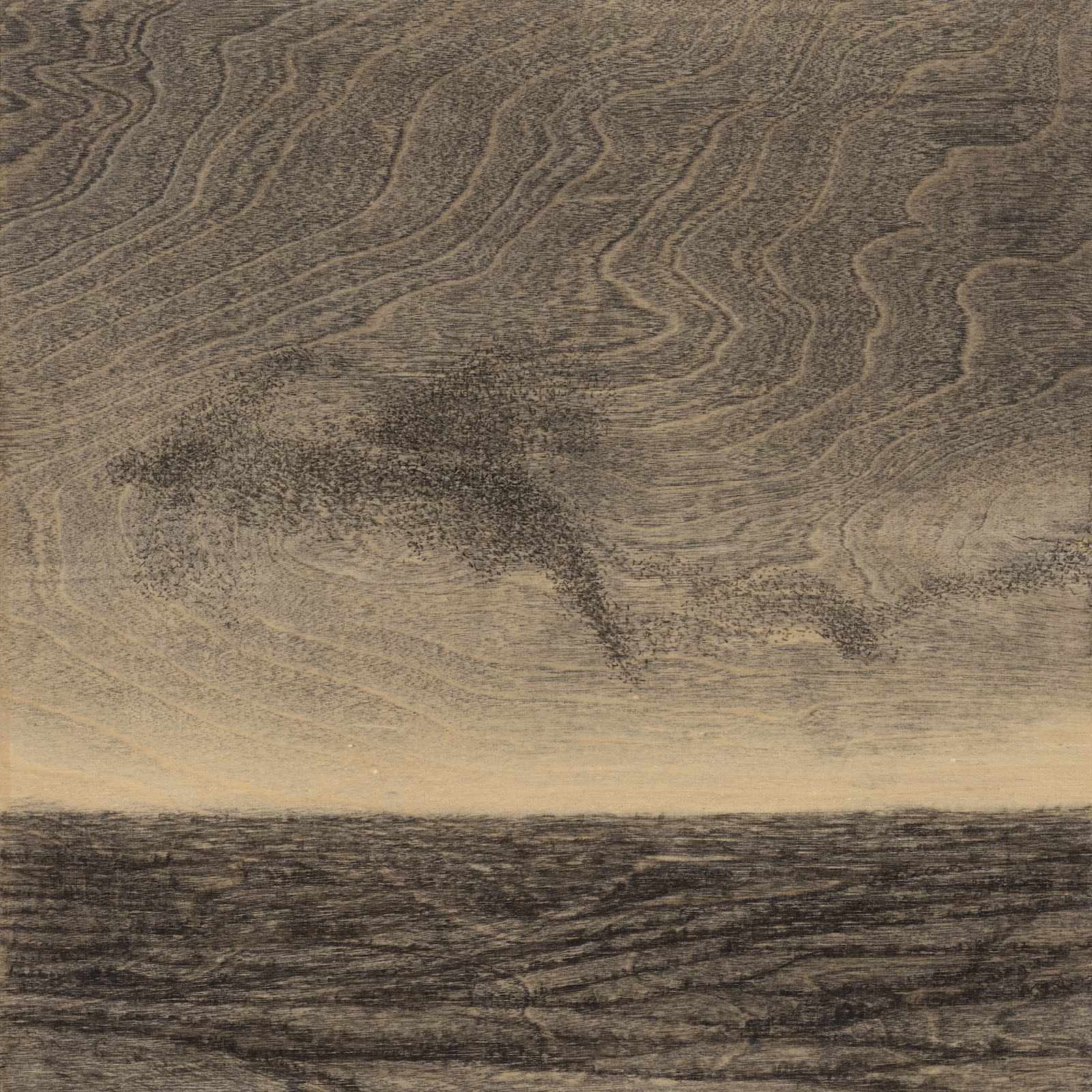 Michael Wann, Murmuration, 2024