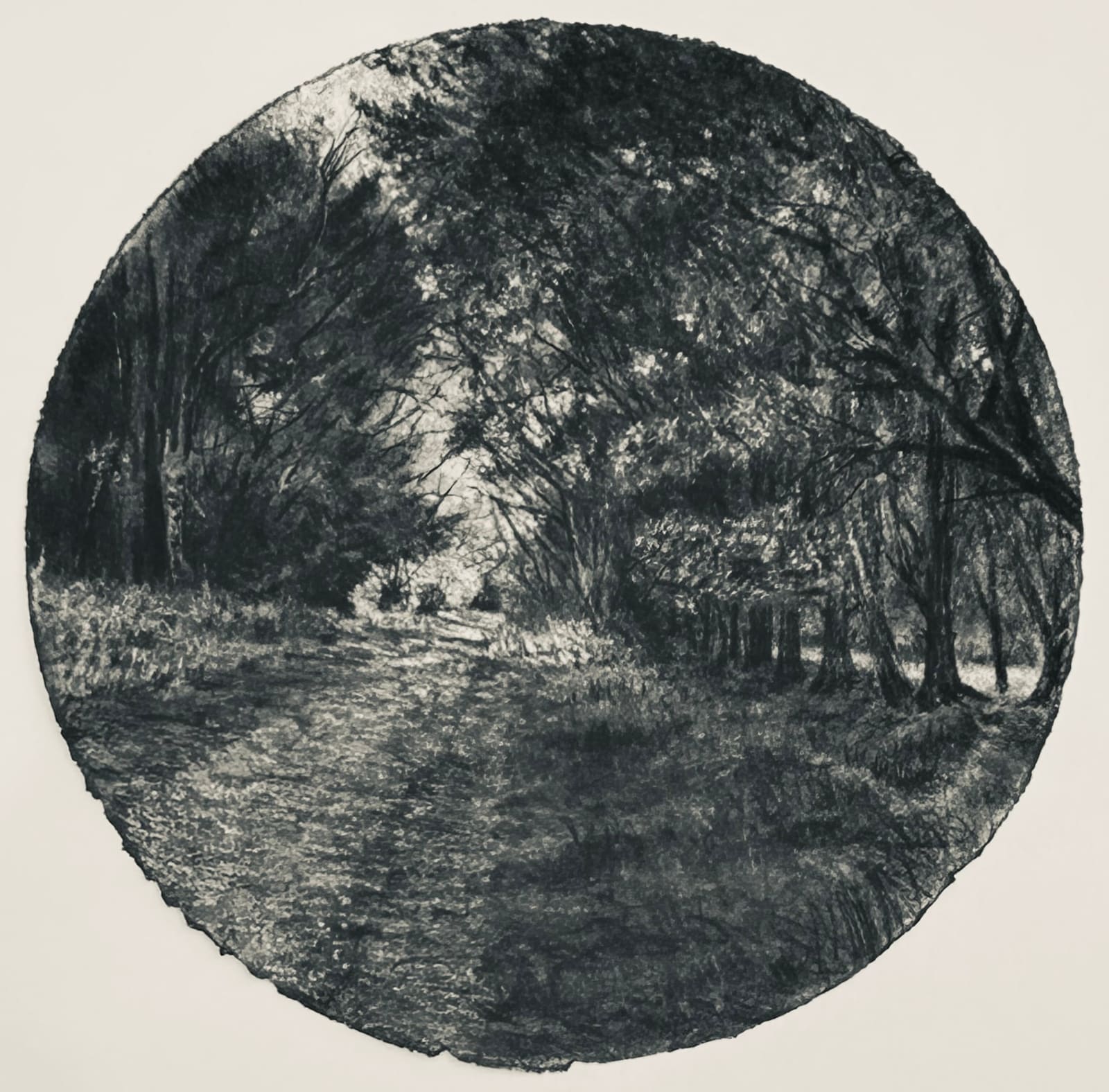 Michael Wann, Summer Avenue 6, 2025