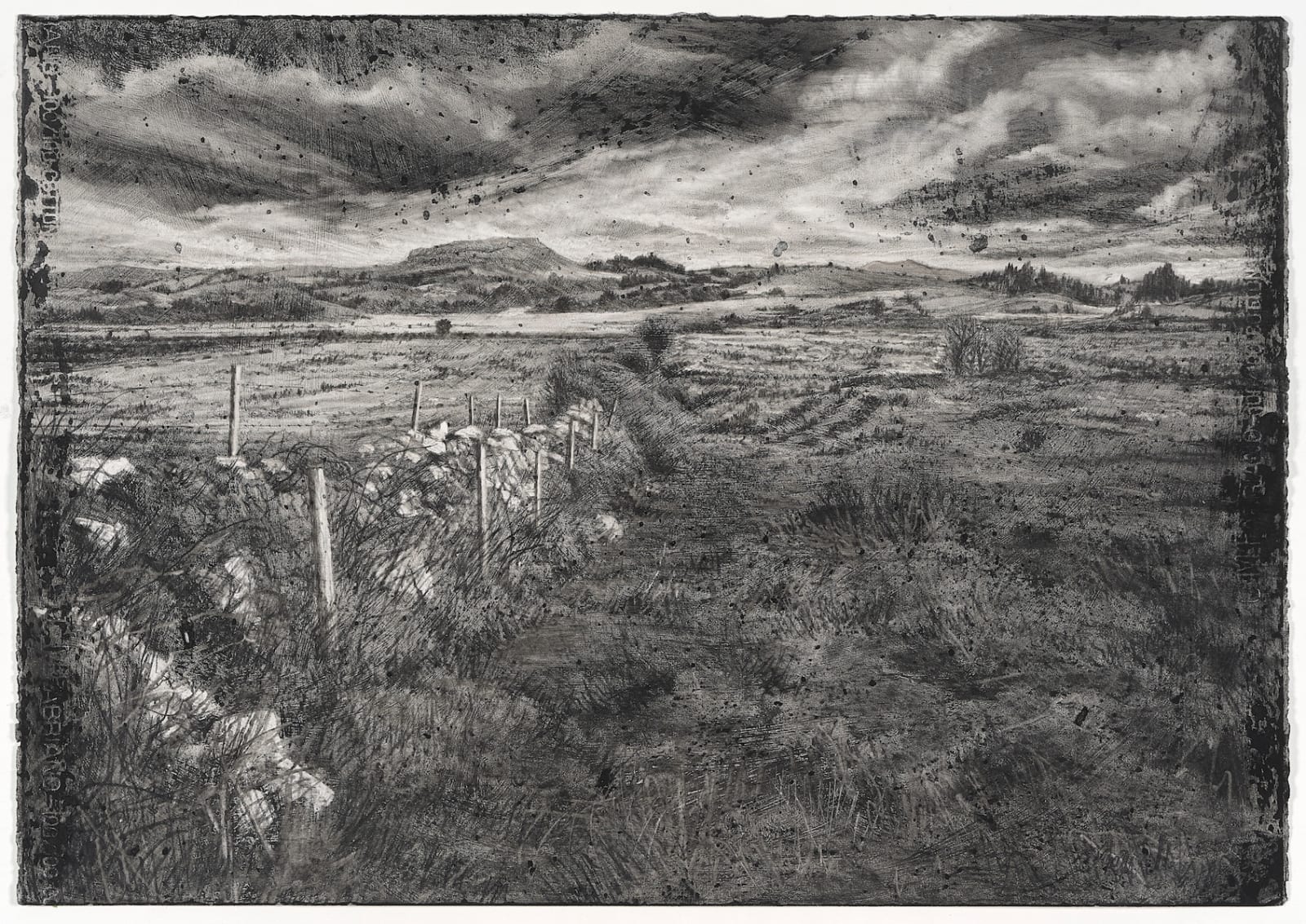 Michael Wann, This Mottled Land, 2022