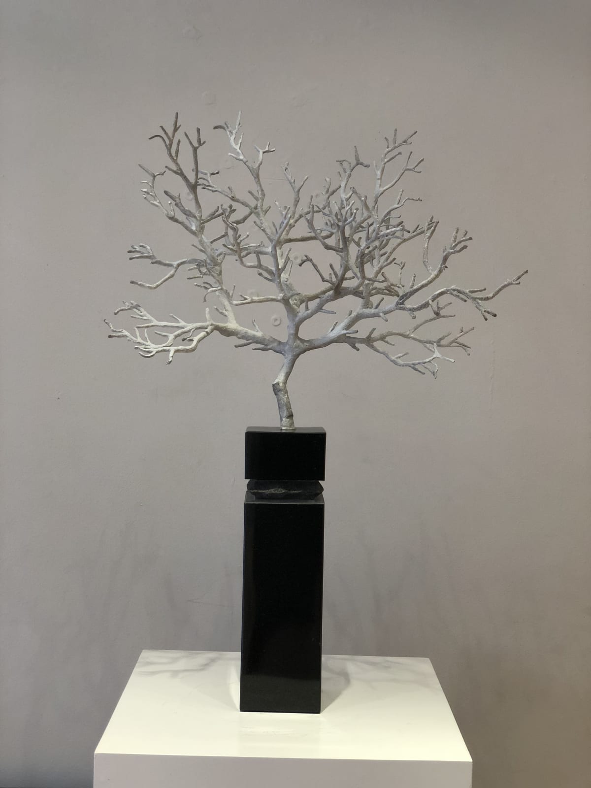 Leo Higgins, Beckett's Tree