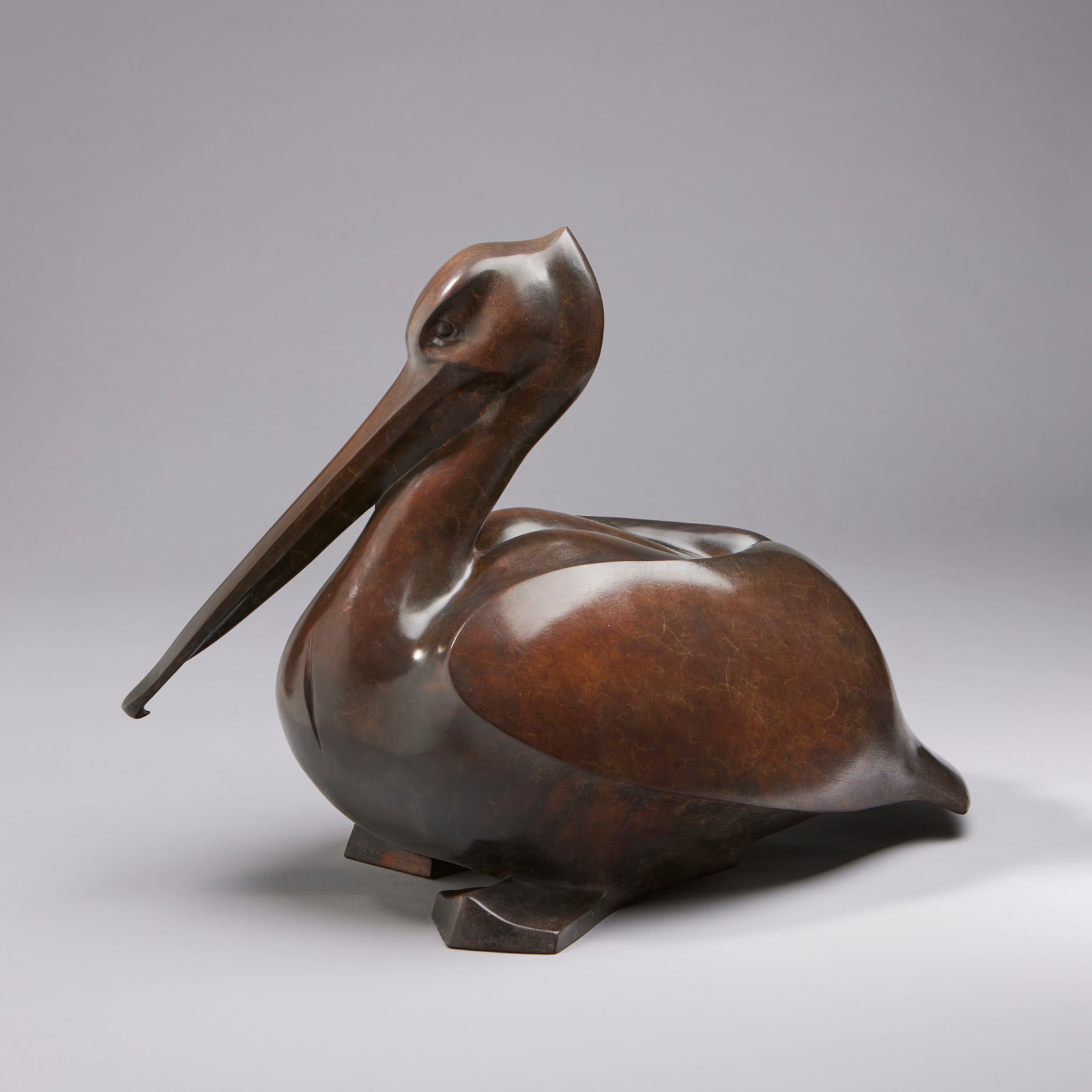 Peter Killeen, Pelican