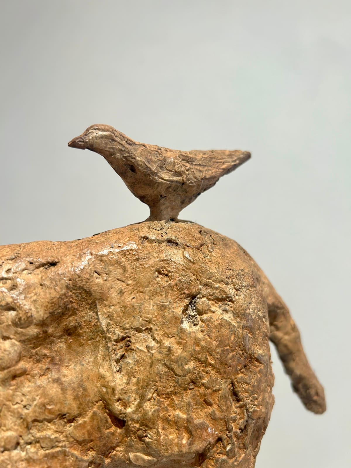 Cheryl Brown, Horse and Bird