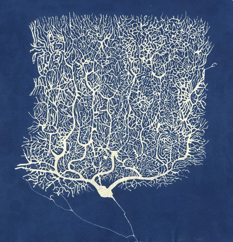 Eilis O'Connell RHA, Indigo Punkinze, 2018