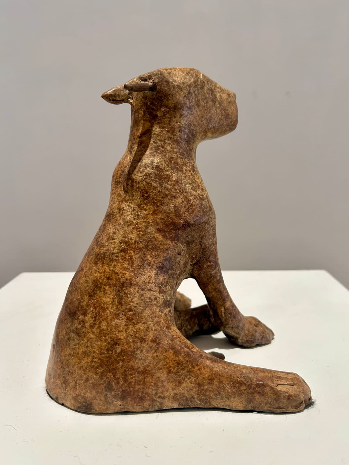 Anthony Scott RUA, Ailbhe, 2024