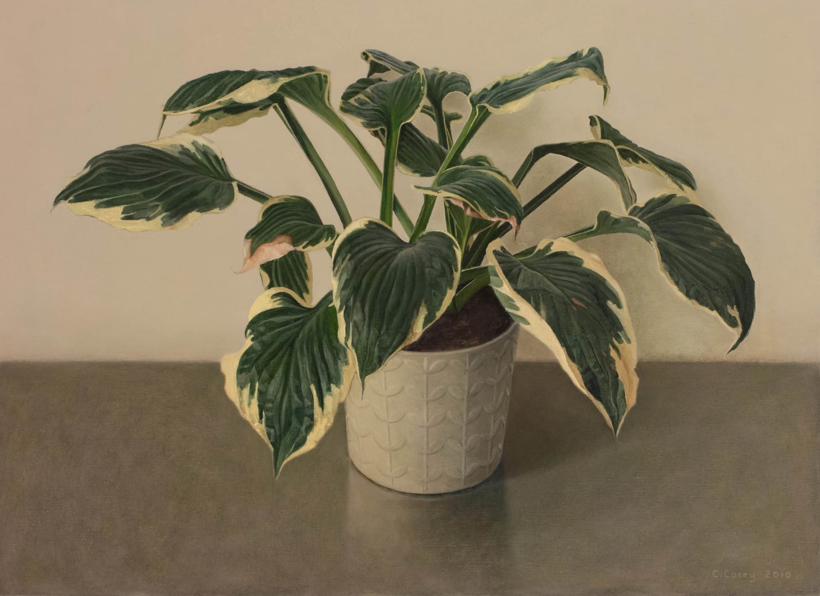 Comhghall Casey, Hosta