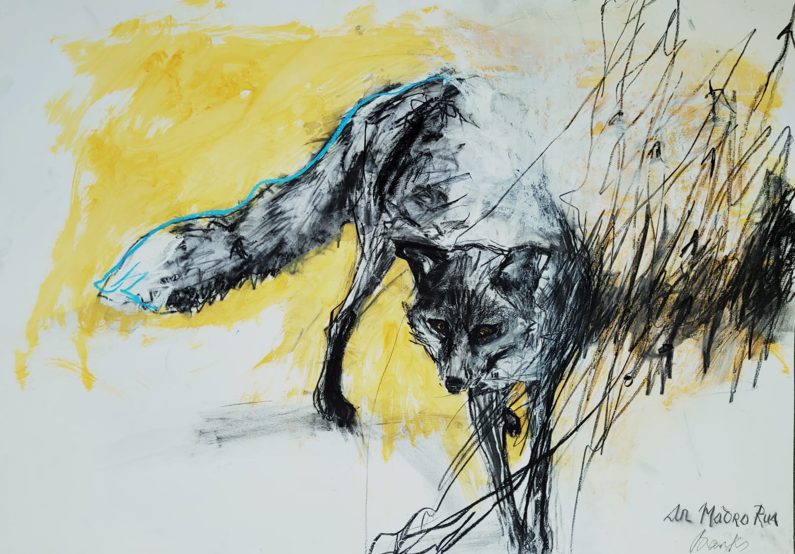 Margo Banks, An Madra Rua