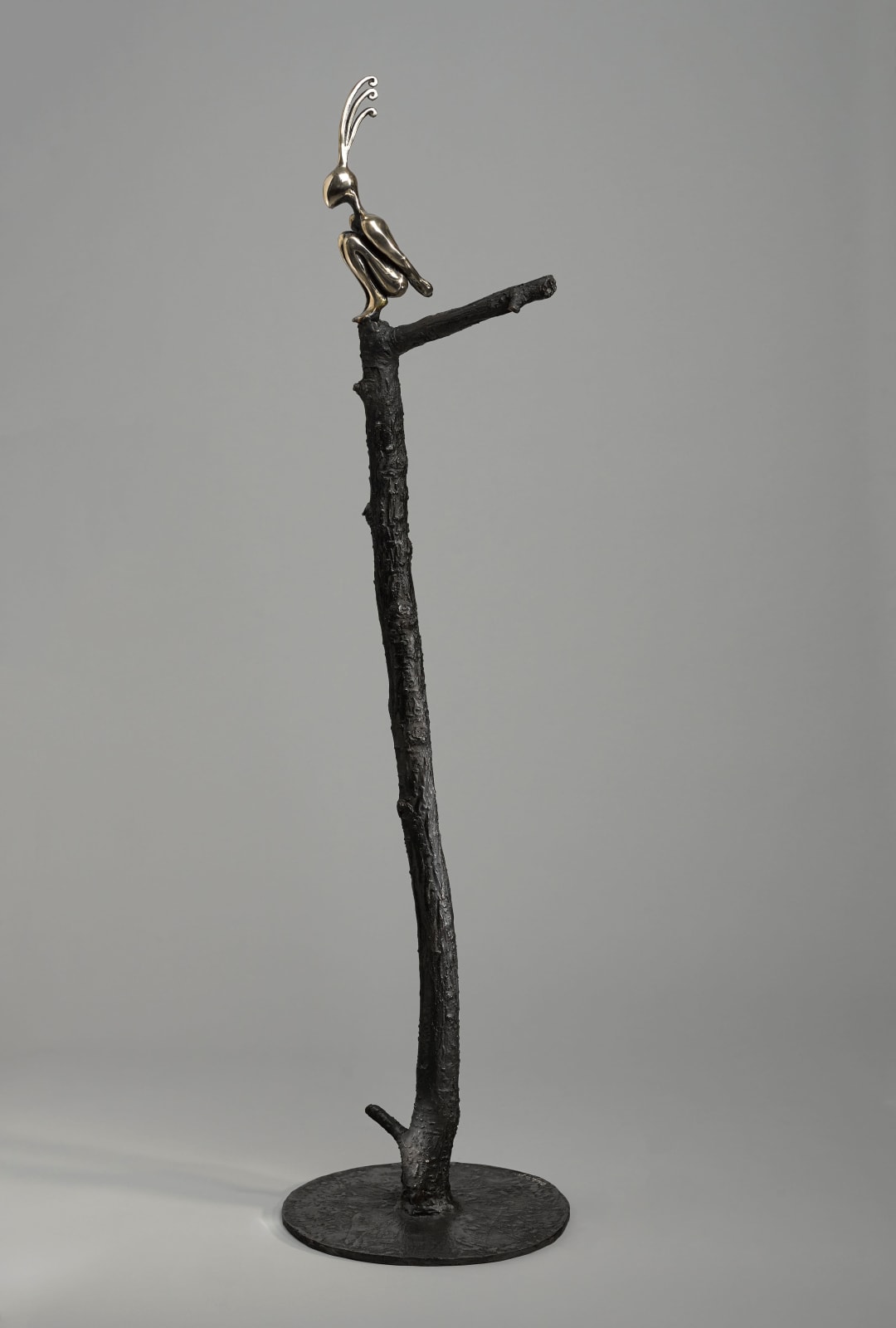 Orla de Brí, Aves Envy II