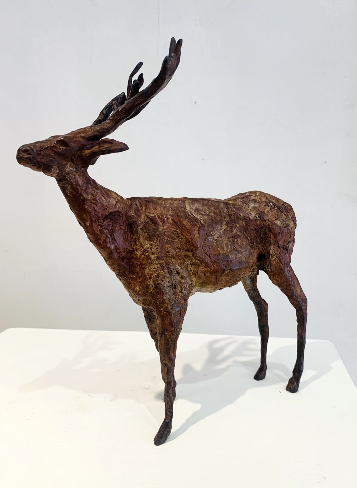 Cheryl Brown, Deer II