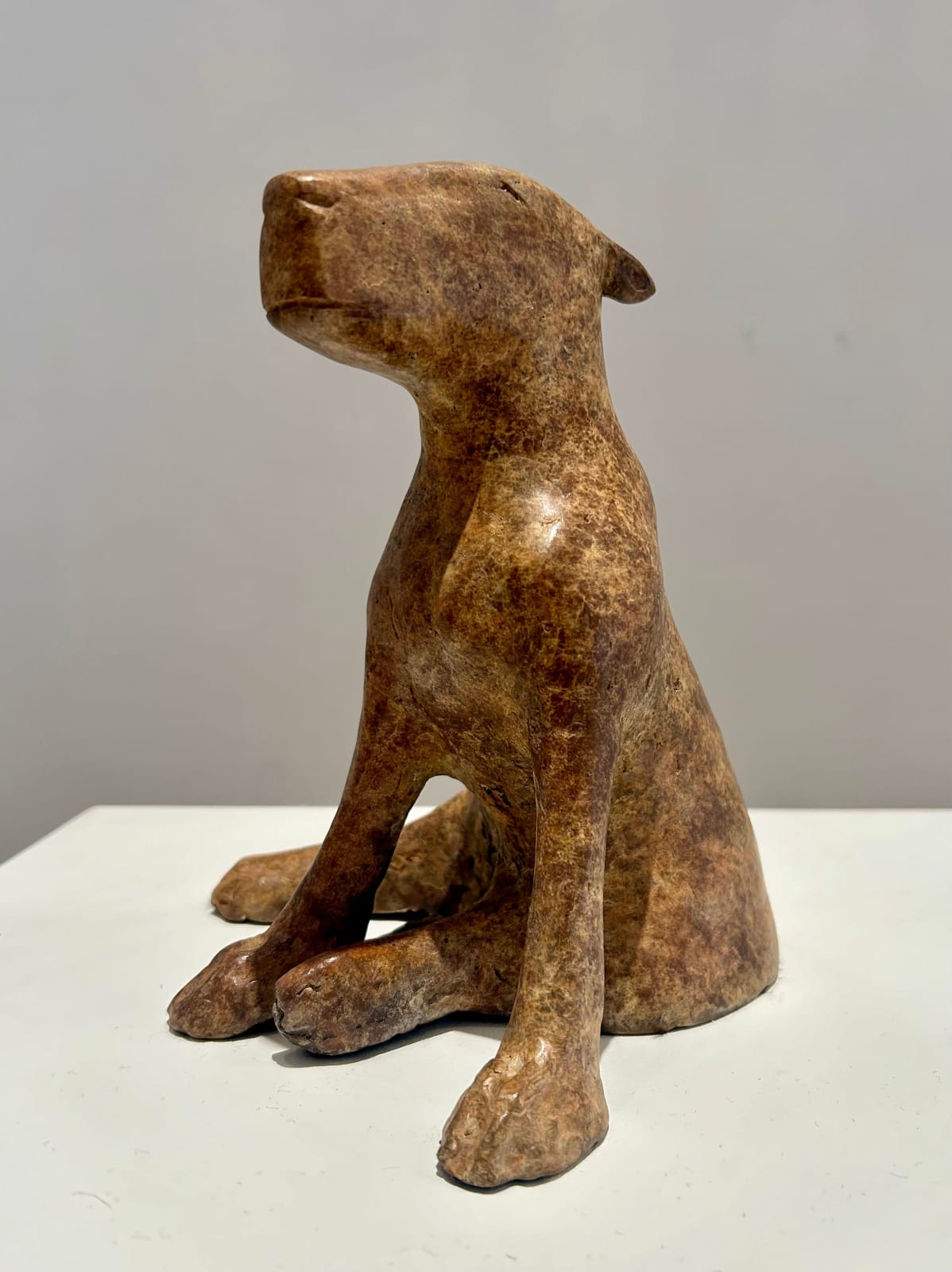 Anthony Scott RUA, Ailbhe, 2024