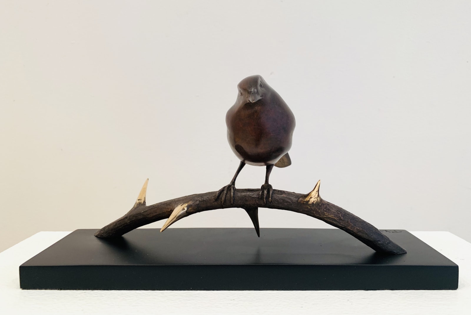 Peter Killeen, Calvary Tourist