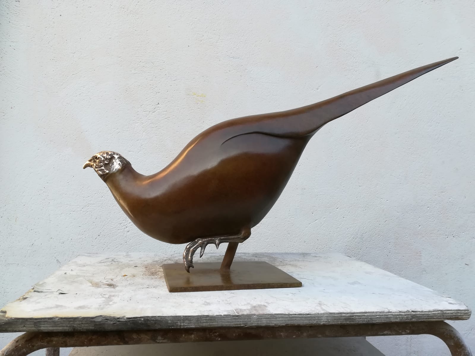 Anna Campbell, Running Pheasant