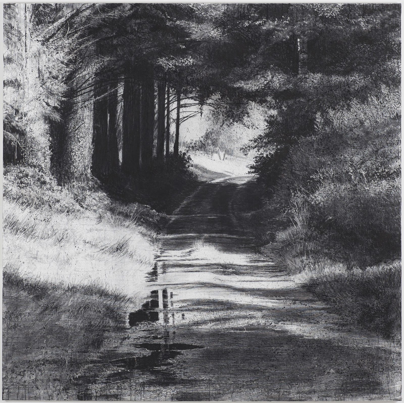 Michael Wann, Shadow Light