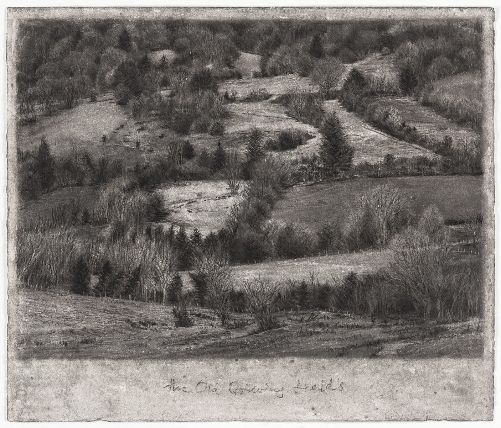 Michael Wann, The Old Grieving Fields, 2024