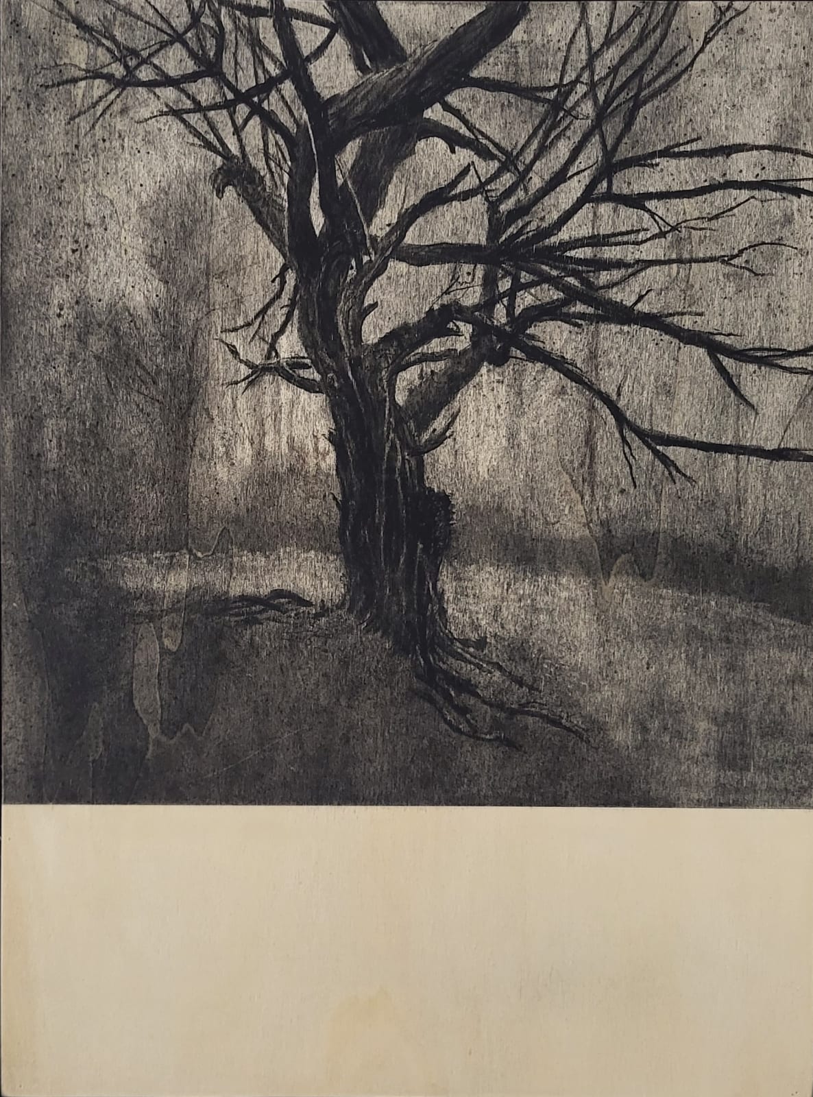 Michael Wann, Hazelwood, Dawn, 2023