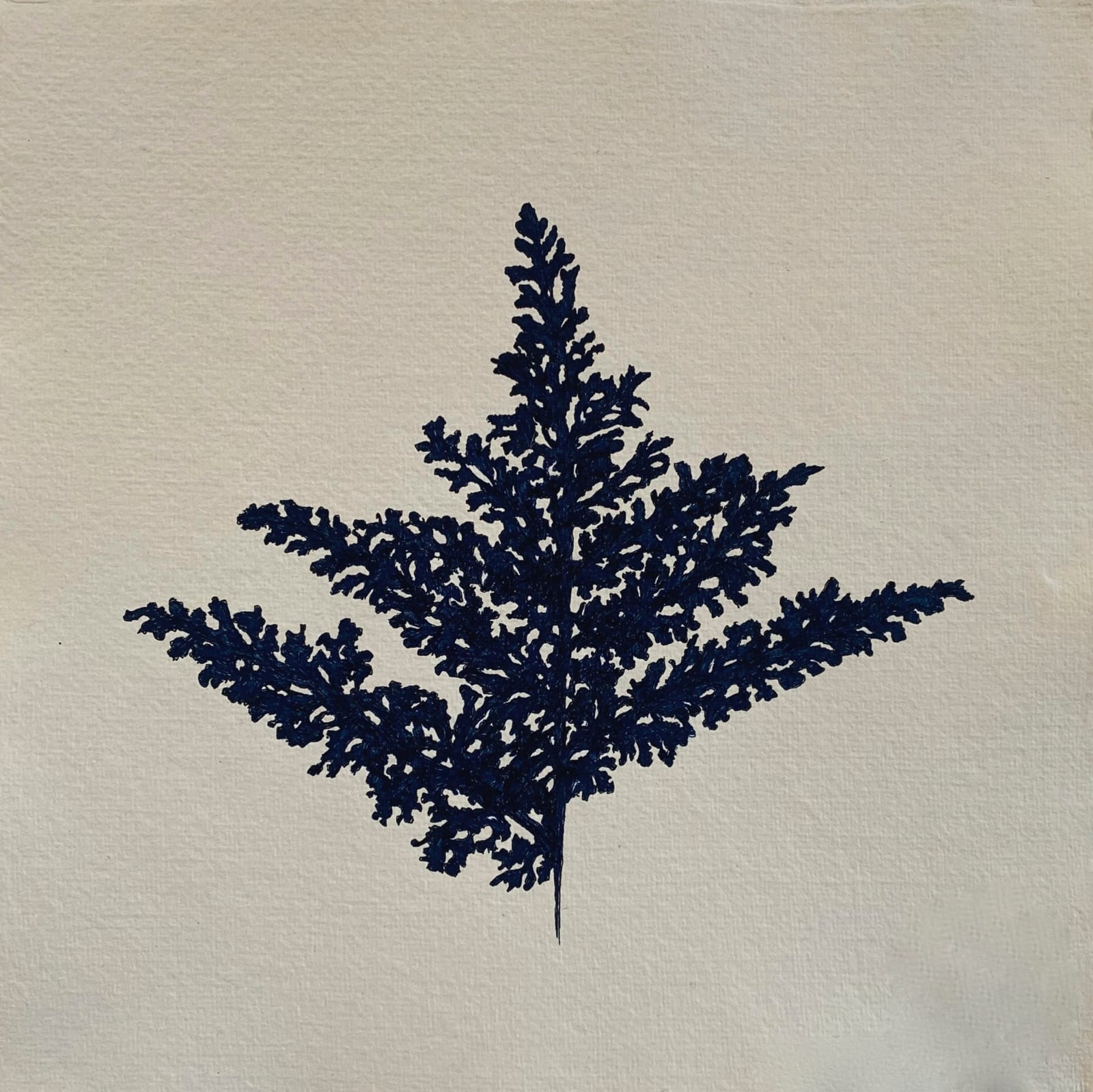 Eilis O'Connell RHA, Crinkly Leaf, 2015