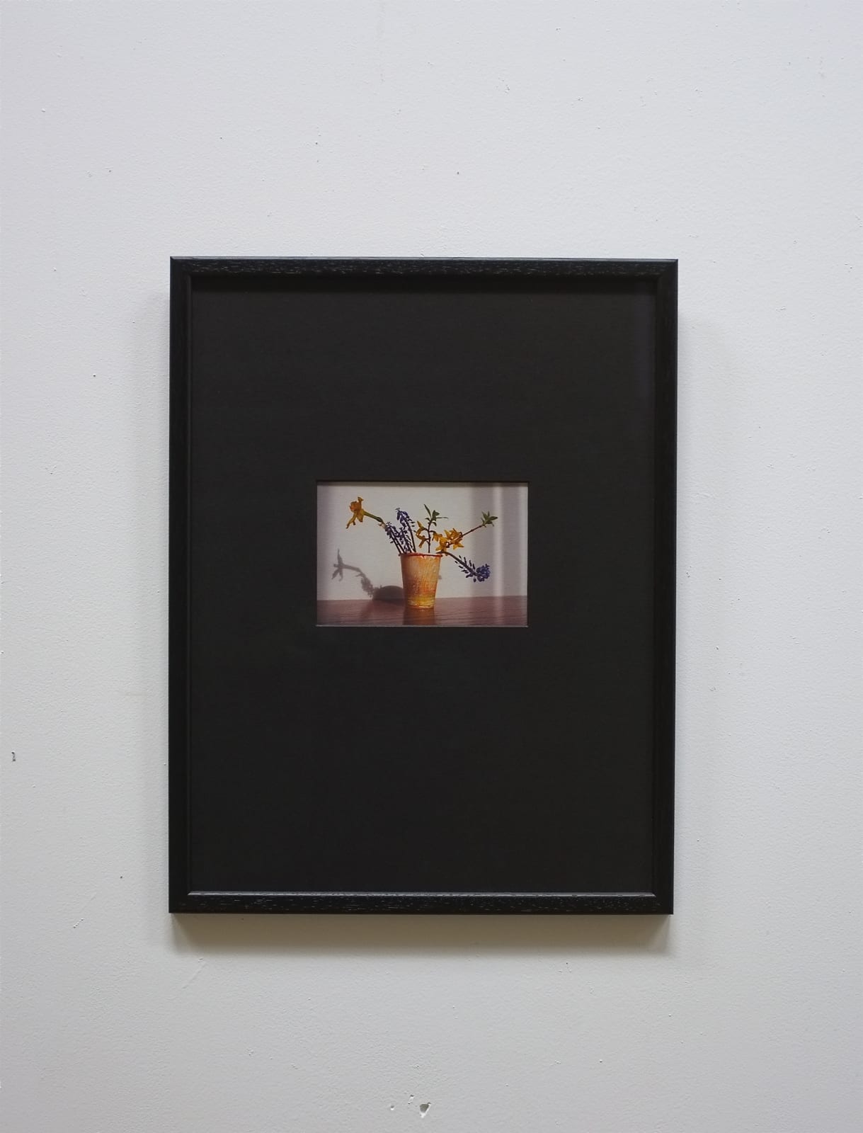 Austin Hearne, St. Clare's Spring