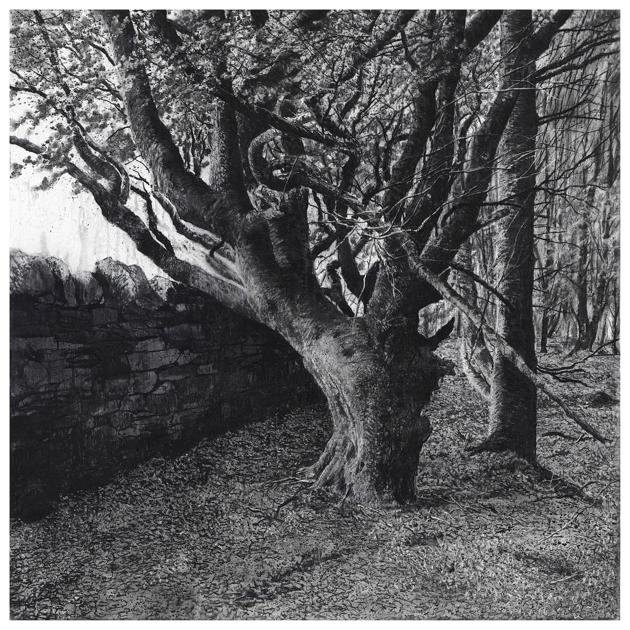 Michael Wann, Enclave, 2022