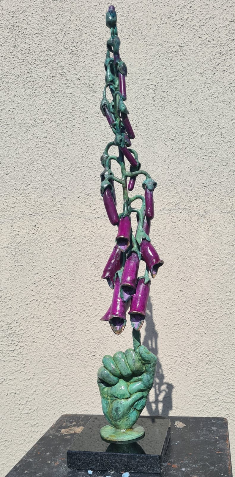 John Coll, Digitalis