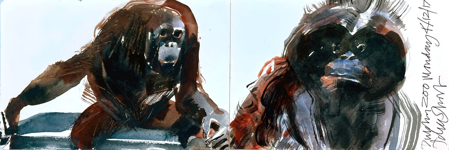 John Short, Apes, Zoo, Dublin