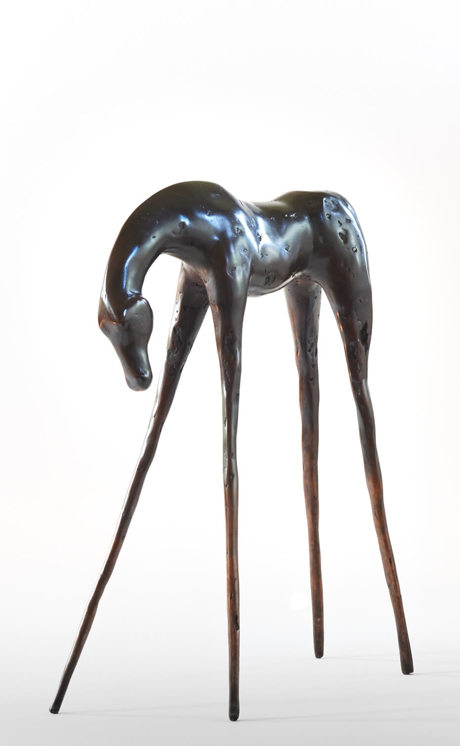 Anna Campbell, Reverent Horse