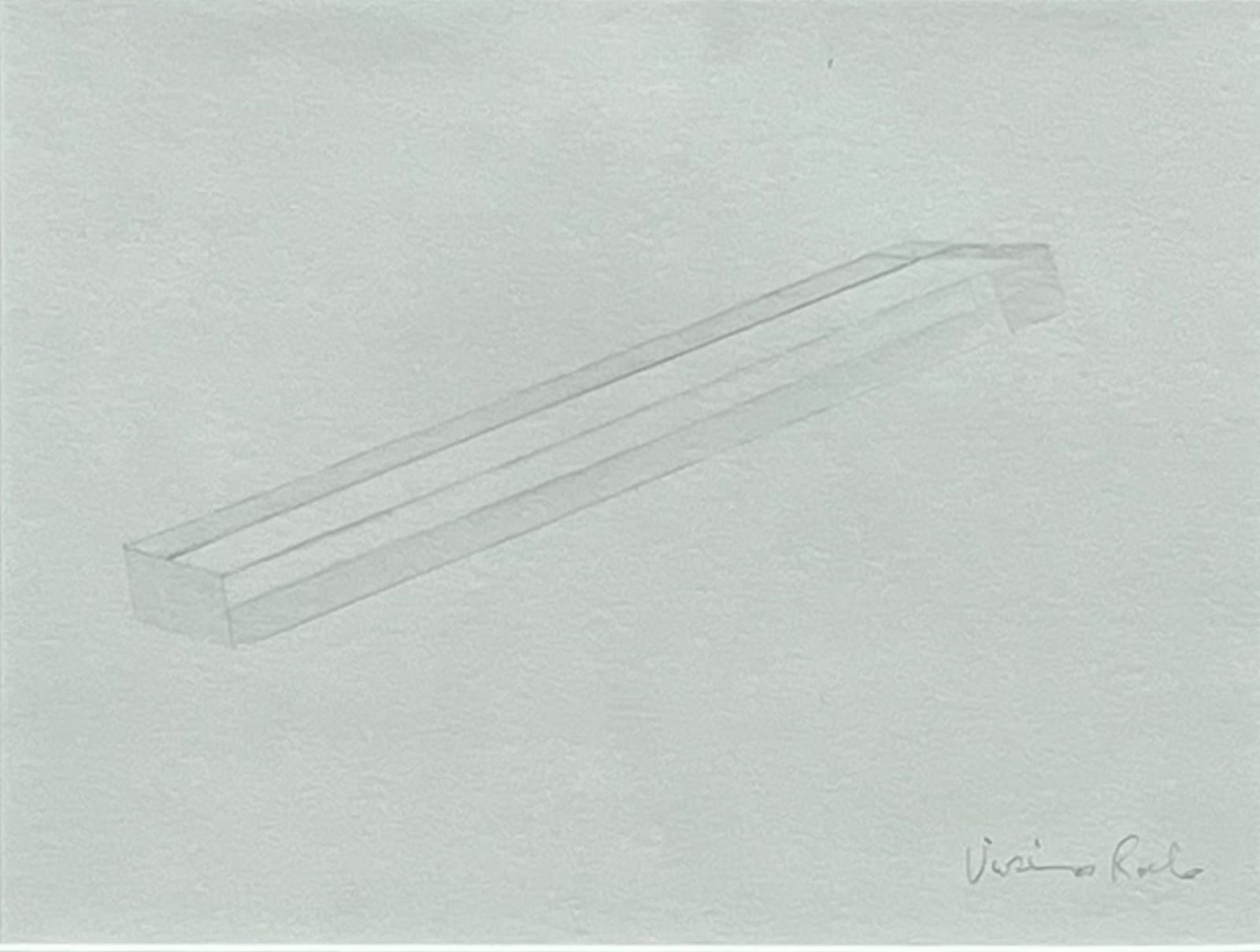 Vivienne Roche RHA, Looking through I