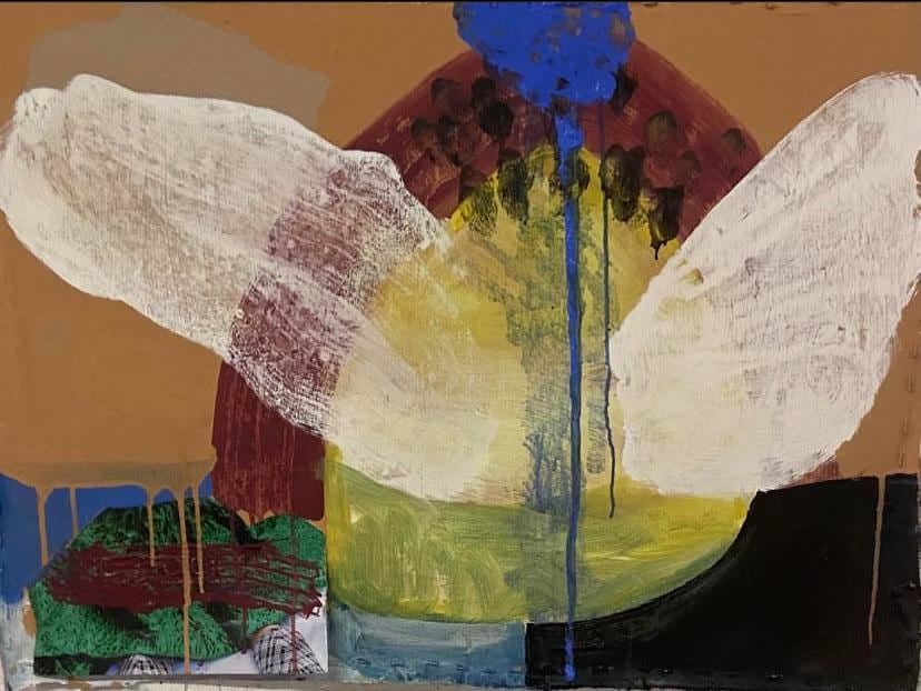 Eamon Colman, Butterfly News