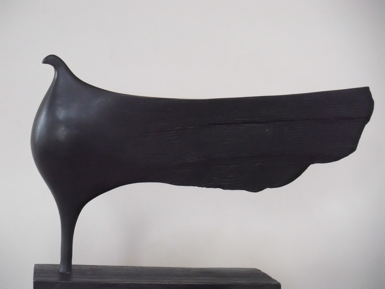 Anna Campbell, Flagbird